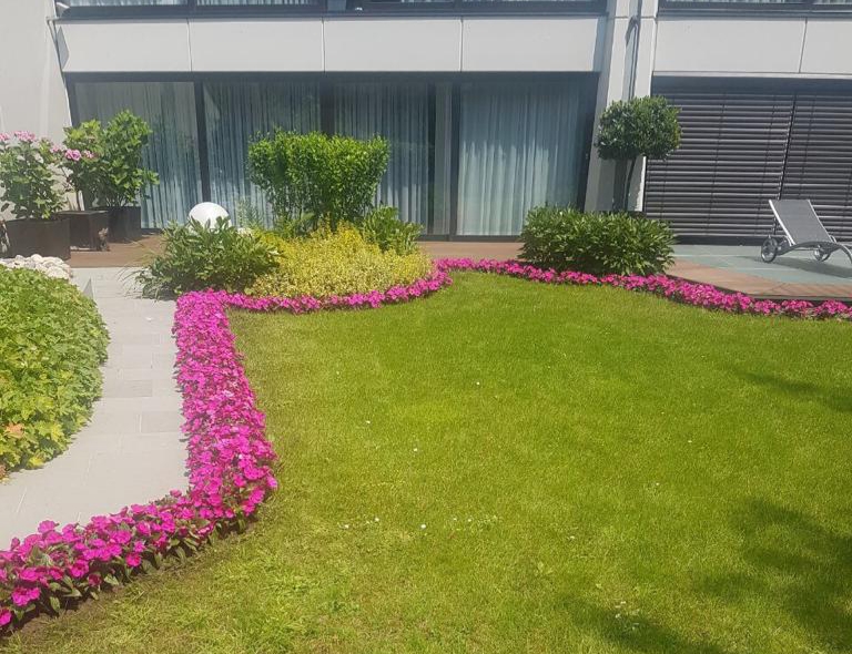 Detail einer Bepflanzung mit Impatiens